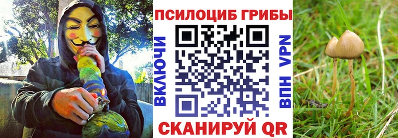 Псилоцибиновые грибы прущие грибы Купить где Балабаново